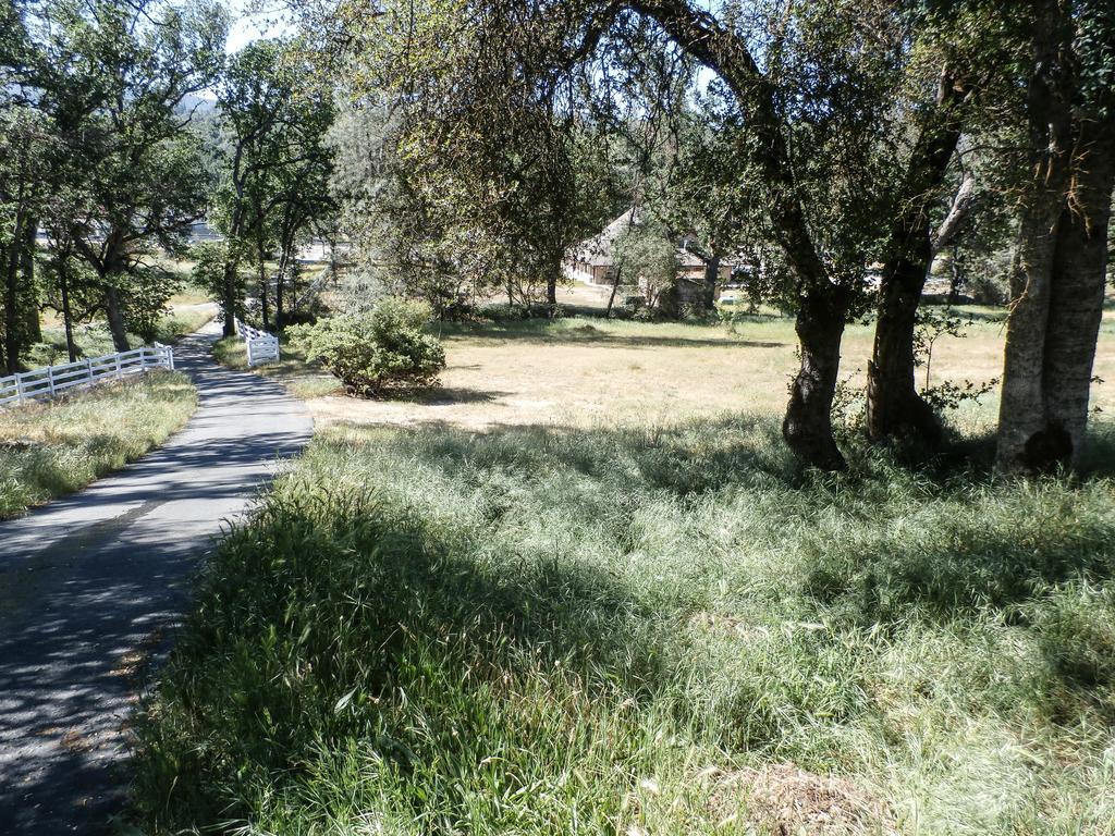 Charming Downstairs Unit Διαμέρισμα Oakhurst Εξωτερικό φωτογραφία